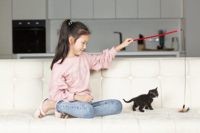 犬や猫と暮らす家族へ