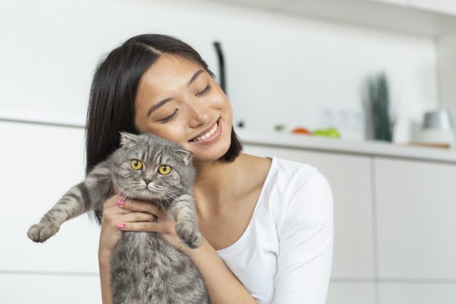 猫専門・猫にやさしい病院